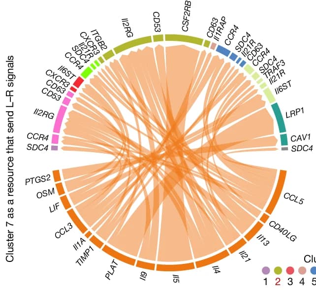 Open access visualization of Chord, L-R Interactions, Cluster 7 Cells, Cluster 2