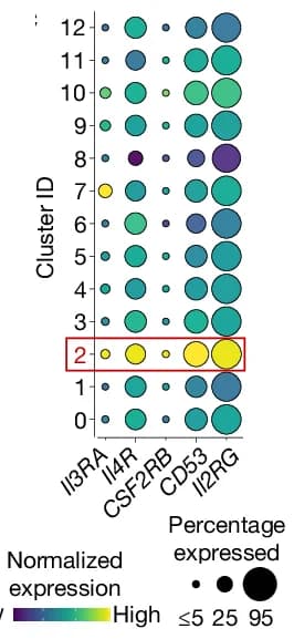 Open access visualization of Bubble Plot, Expression Profile, Receptor Genes