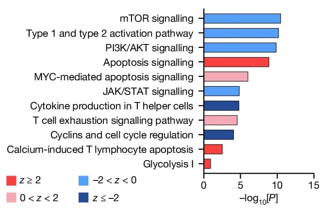Open access visualization of Bar Plot, Signaling Pathways, DEGs, Cluster 2