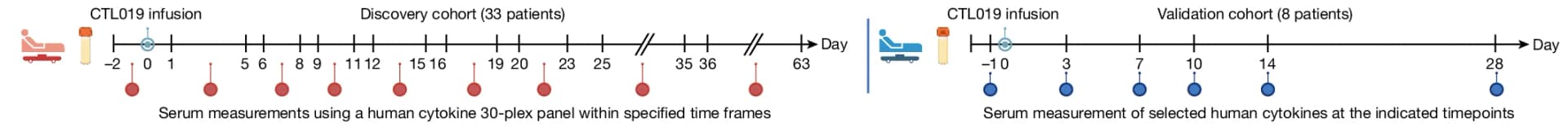 Open access visualization of Workflow, Illustration, Proteomic Profiling, Serum Proteins, Patients