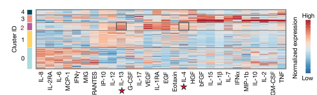 Open access visualization of Heatmap, Differentially Expressed Proteins, Clusters, Type 2 Cytokines
