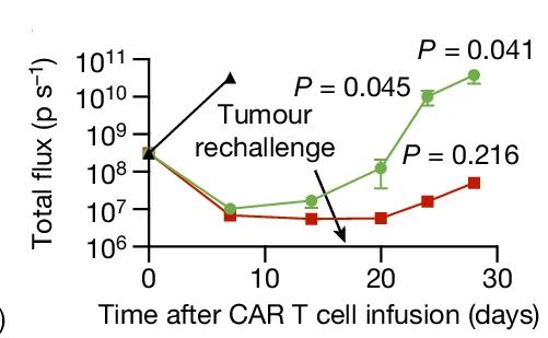 Open access visualization of Line Plot, Error Bars, Tumor Burden, Total Flux, Photons Per Second