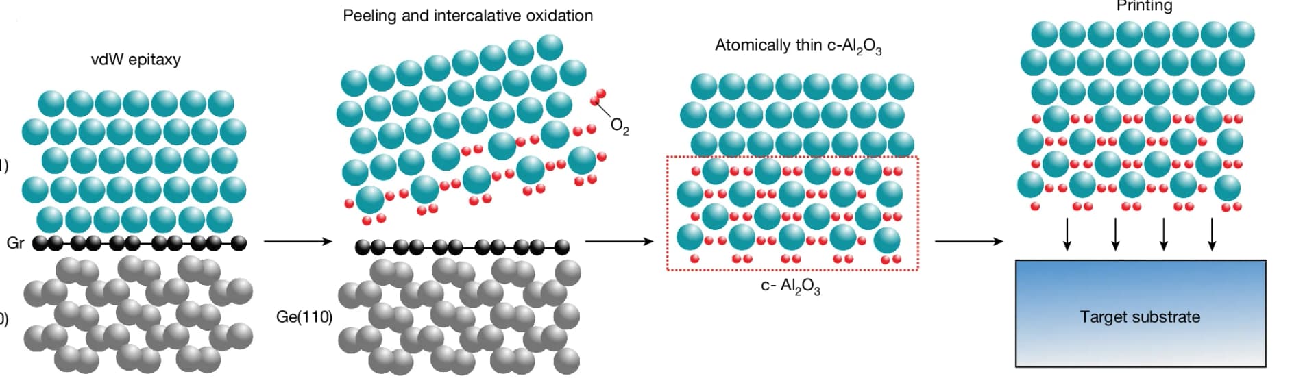 Open access visualization of Workflow, Illustration, Epitaxial Lift-Off, Intercalative Oxidation, Single-Crystalline Aluminum Film