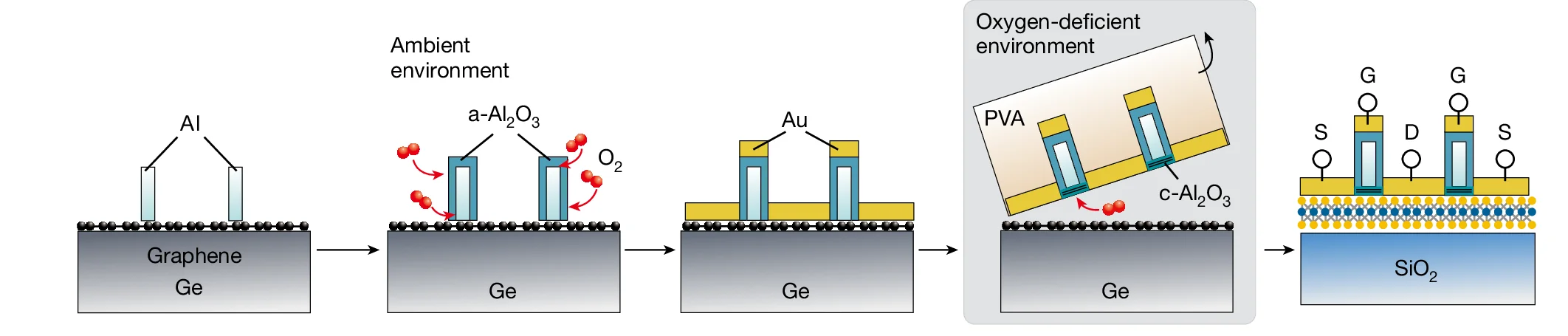 Open access visualization of Workflow, Illustration, FET, MoS2, Fabrication