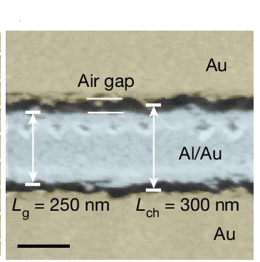 Open access visualization of Microscopy, SEM, MoS2, FET, Air Gap