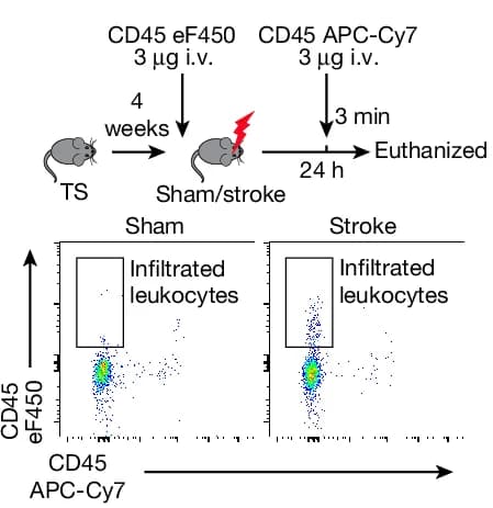 Open access visualization of Scatter Plot, Workflow, Experimental Design, FACS Plots, Leukocytes