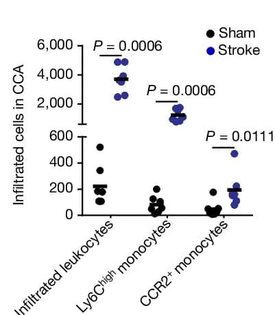 Open access visualization of Scatter Plot, Leukocytes, Ly6C, CCR2, Monocytes