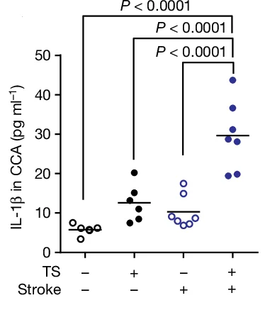 Open access visualization of Scatter Plot, IL-1β Concentrations