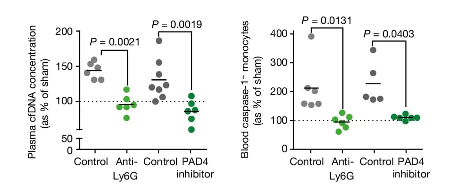 Open access visualization of Scatter Plot, cfDNA Concentration, Mice, Control, Anti-Ly6G