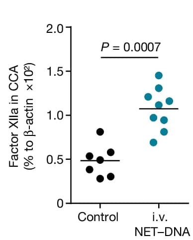 Open access visualization of Scatter Plot, Factor XIIa, CCA Lysates, DNA Injection
