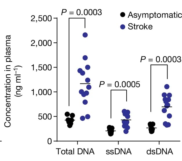Open access visualization of Scatter Plot, cfDNA, Total DNA, Single-stranded DNA, Double-stranded DNA