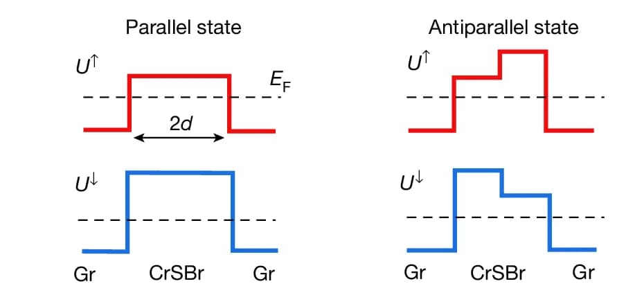 Open access visualization of Line Step, CrSBr, Bilayer, Magnetization, Potential Profile