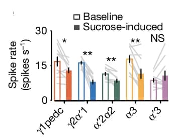 Open access visualization of Bar Plot, Error Bars, PPL1-DAN Spike Rates, Sucrose, Baseline
