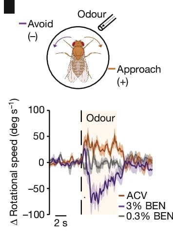 Open access visualization of Line Plot, Error Bars, Illustration, Odor Evoked Behavioral Responses, Trackball