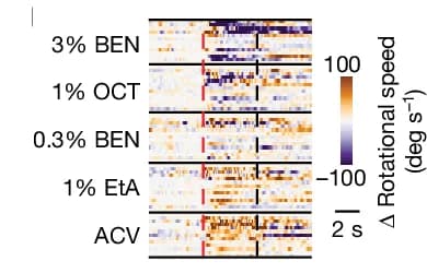 Open access visualization of Heatmap, Odor Evoked Rotational Responses, Rotational Speed