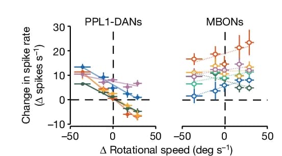 Open access visualization of Line Plot, Error Bars, Odor Evoked Changes, PPL1-DAN Spike Rates, MBON Spike Rates