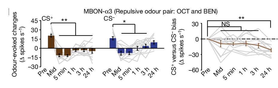 Open access visualization of Bar Plot, Line Plot, Error Bars, MBON-α3, Spike Rates
