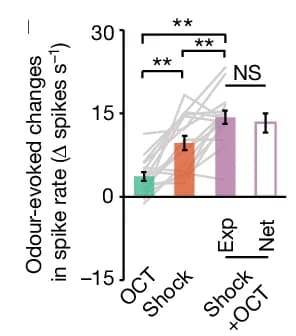 Open access visualization of Bar Plot, Error Bars, PPL1-α3, Spiking, Baseline Rates