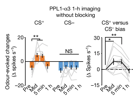 Open access visualization of Bar Plot, Error Bars, Line Plot, PPL1-α3, Spike Rates