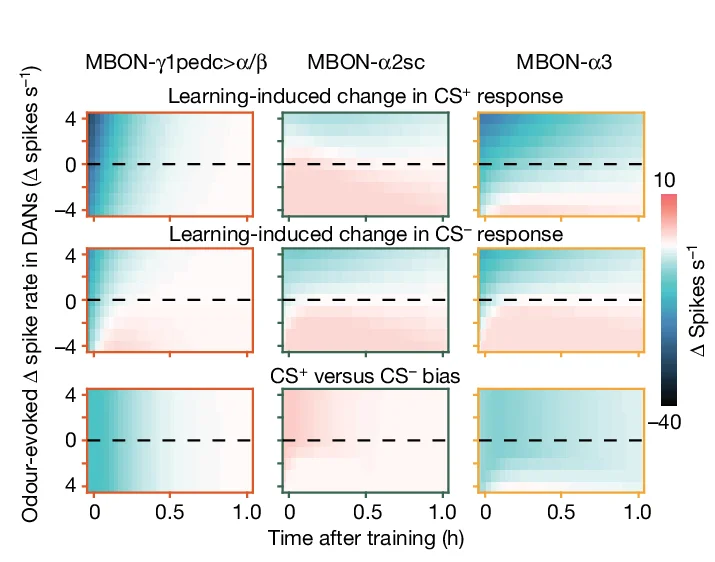 Open access visualization of Heatmap, Innate Valences, MBONs, Simulated Odours, DAN Spiking