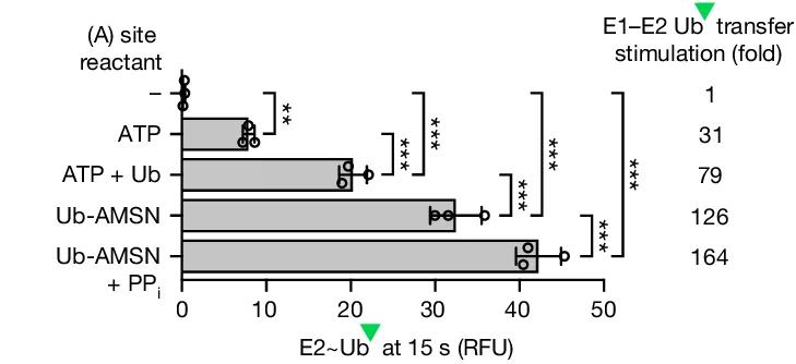 Open access visualization of Bar Plot, Error Bars, Transthiolation Rates, Relative Fluorescence Units, Fluorescein
