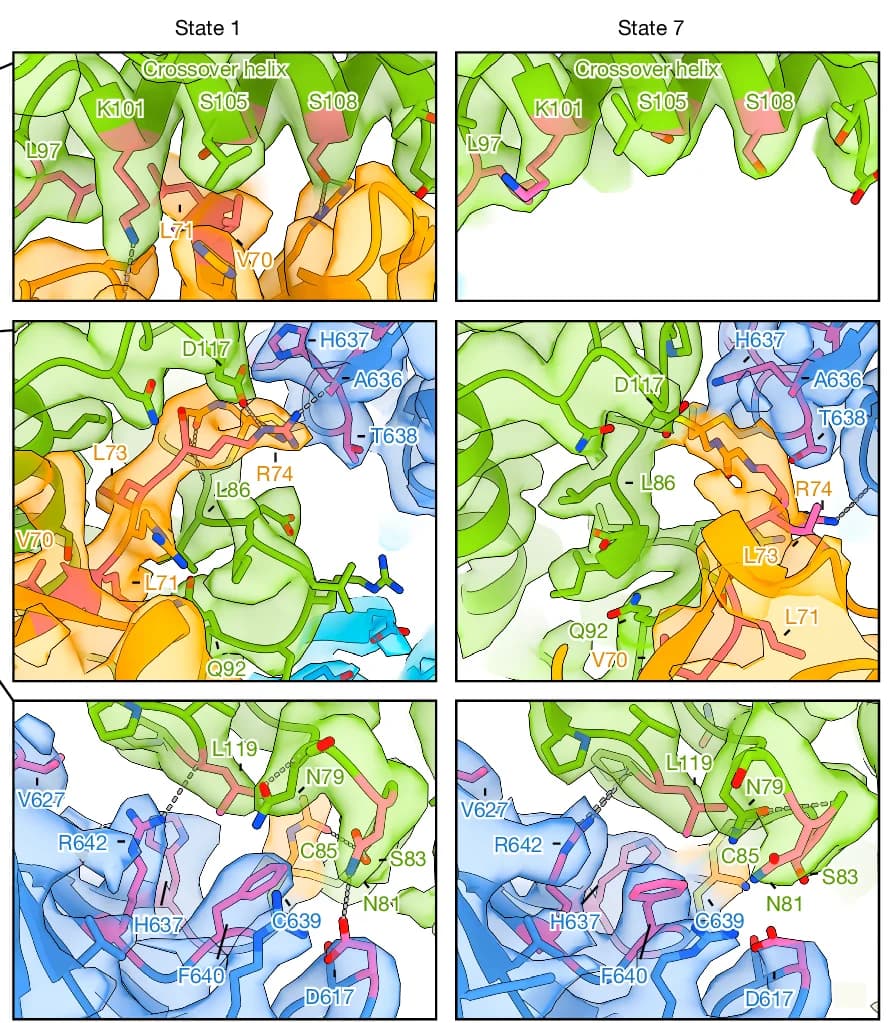 Open access visualization of Protein Structure, E2 Contacts, Ubiquitin, Residues