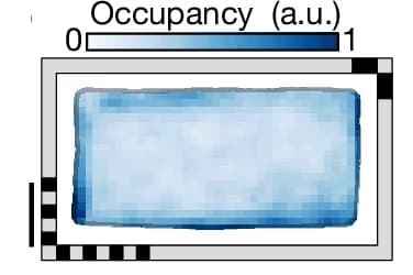 Open access visualization of Heatmap, Chamber Occupancy, Animals