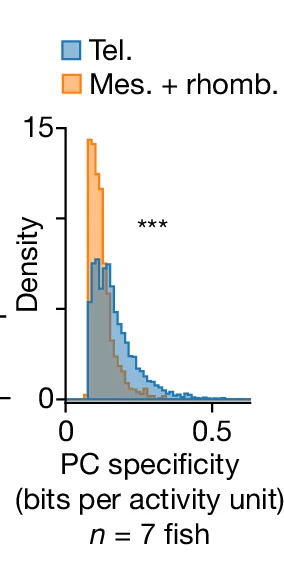 Open access visualization of Density Plot, Spatial Specificity, Place Cells, Telencephalon, Mesencephalon