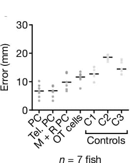 Open access visualization of Scatter Plot, Decoding Performance, Brain Regions, PCs, Controls