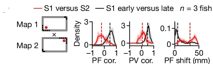 Open access visualization of Line Plot, Density Plot, Geo Map, Map Changes, Telencephalic PCs