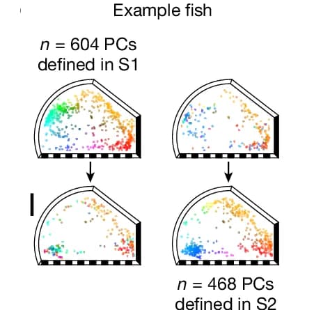 Open access visualization of Scatter Plot, Fish Removal, Histograms, Mean Distributions, Standard Deviation
