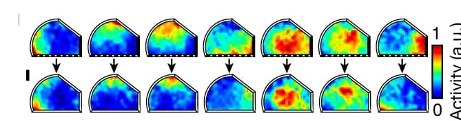 Open access visualization of Heatmap, Landmark Removal, Fish Removal
