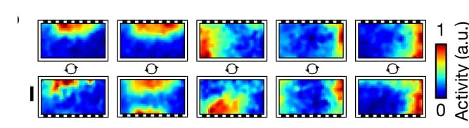 Open access visualization of Heatmap, Wall Rotation, Statistical Tests