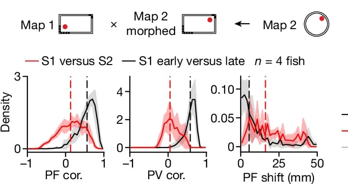 Open access visualization of Line Plot, Density Plot, Error Bars, Histograms, Distributions
