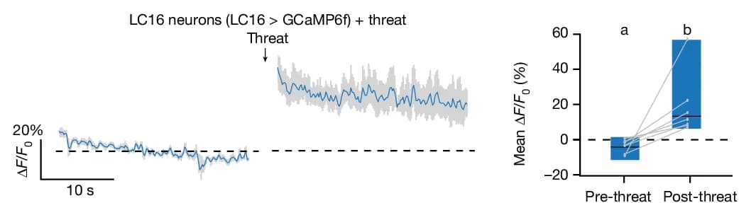 Open access visualization of Line Plot, Bar Plot, Error Bars, F / F 0, LC16 > GCaMP6f