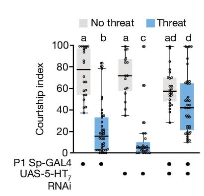 Open access visualization of Box Plot, Scatter Plot, P1, 5-HT 7 RNAi