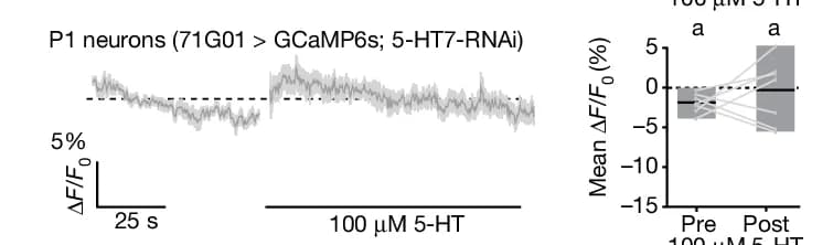 Open access visualization of Line Plot, Error Bars, Bar Plot, P1, GCaMP6s