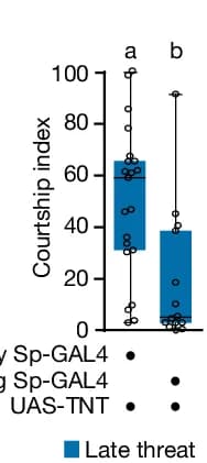 Open access visualization of Box Plot, Scatter Plot, OvAbg > TNT Males, Threat