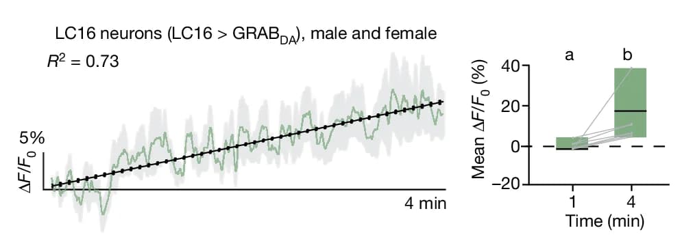 Open access visualization of Line Plot, Error Bars, Box Plot, LC16 > GRAB DA Signal, Males