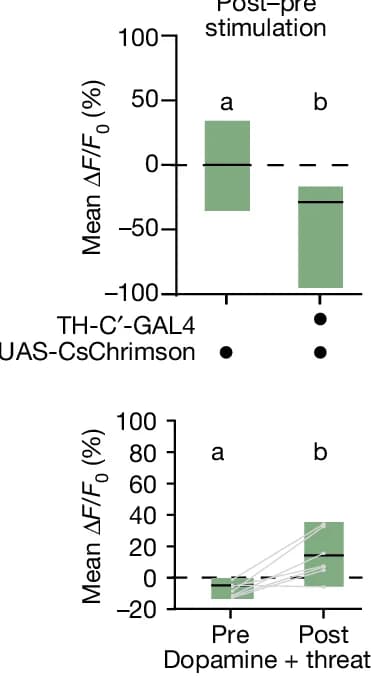 Open access visualization of Bar Plot, Line Plot, Laser-induced, LC16 > GCaMP6f Signal, Males