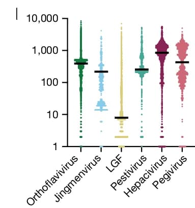 Open access visualization of Violin Plot, MSA Depth, Sequence Block, Genus, Subclade