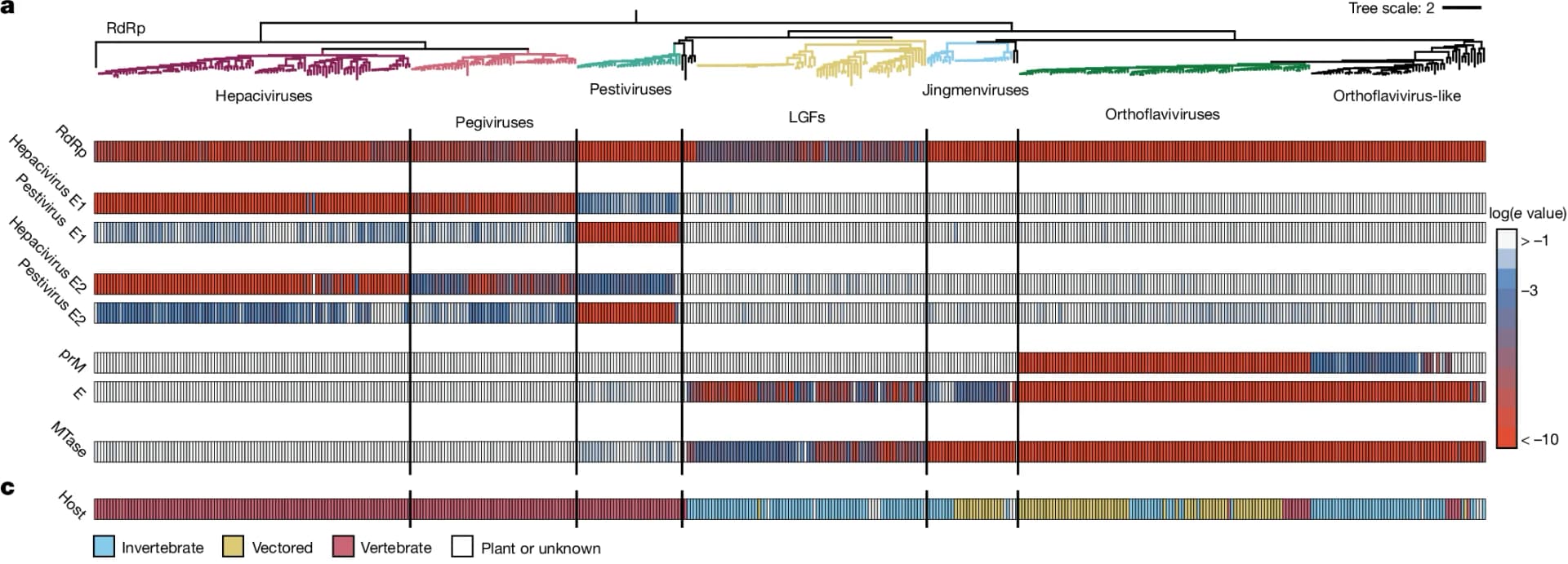 Open access visualization of Heatmap, Clustered, Foldseek, Structure-based homology, E-value