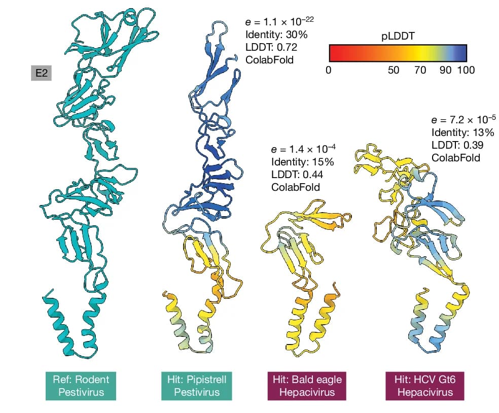 Open access visualization of Protein Structure, Reference Structures, Foldseek, E2, Residues