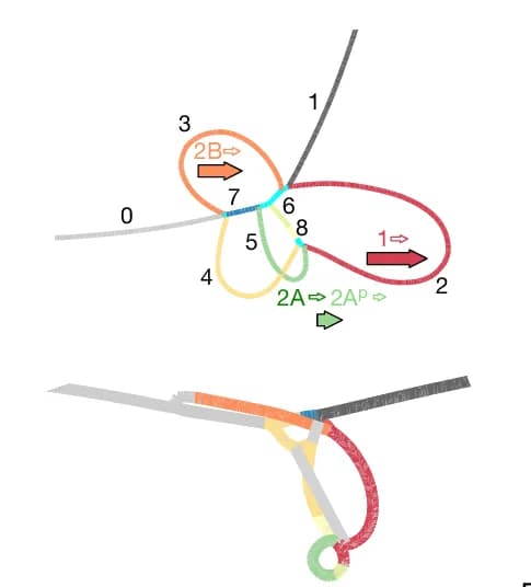 Open access visualization of Workflow, Flowchart, Illustration, MAP-graph, Variation Graph