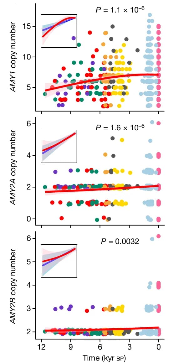 Open access visualization of Scatter Plot, Regression Plot, Line Plot, Copy Number Genotypes, Generalized Additive Model