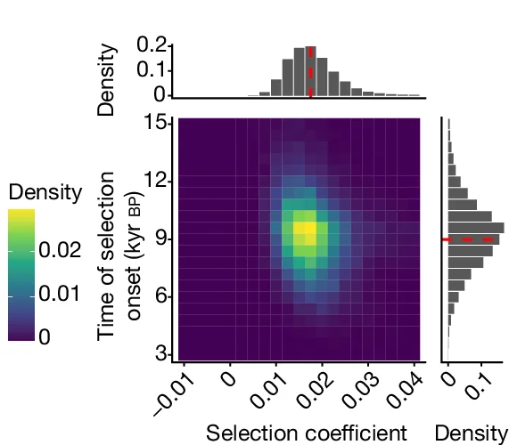 Open access visualization of Heatmap, Histogram, Density Plot, Selection Coefficient, Time of Selection Onset