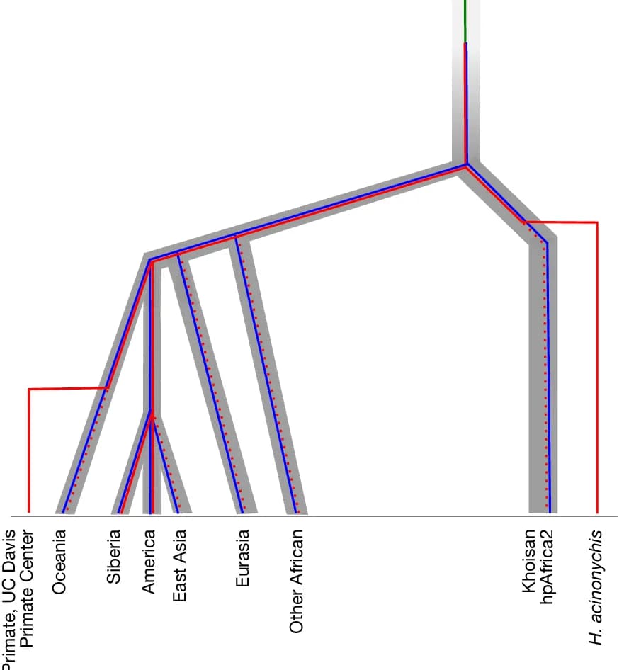 Open access visualization of Network, Pathway, H. Pylori, Ecospecies, Human Population