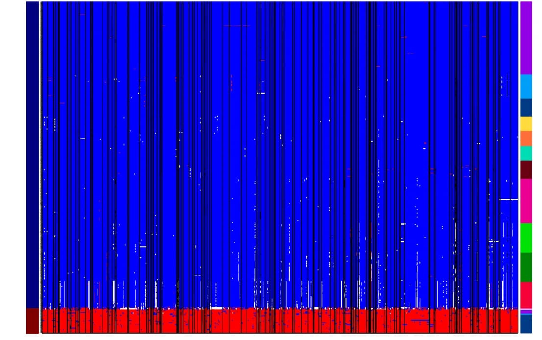 Open access visualization of Heatmap, Haplotypes, SNPs, Ecospecies, Strains