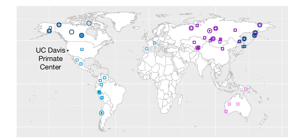 Open access visualization of Geo Map, Map, Location, Hardy Strains, Ubiquitous Strains