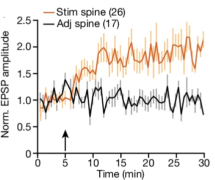 Open access visualization of Line Plot, Error Bars, Time Course, Uncaging-evoked EPSP, Normalized EPSP